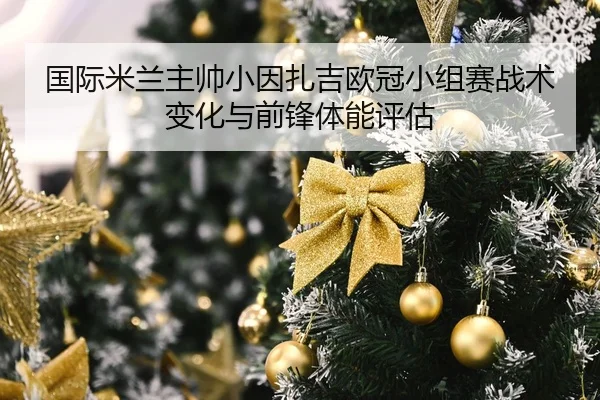 国际米兰主帅小因扎吉欧冠小组赛战术变化与前锋体能评估（haosports）